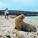 Excursões em Terra - Ocean Spray