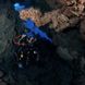 Коралловый риф - JP Marine