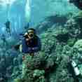Diving