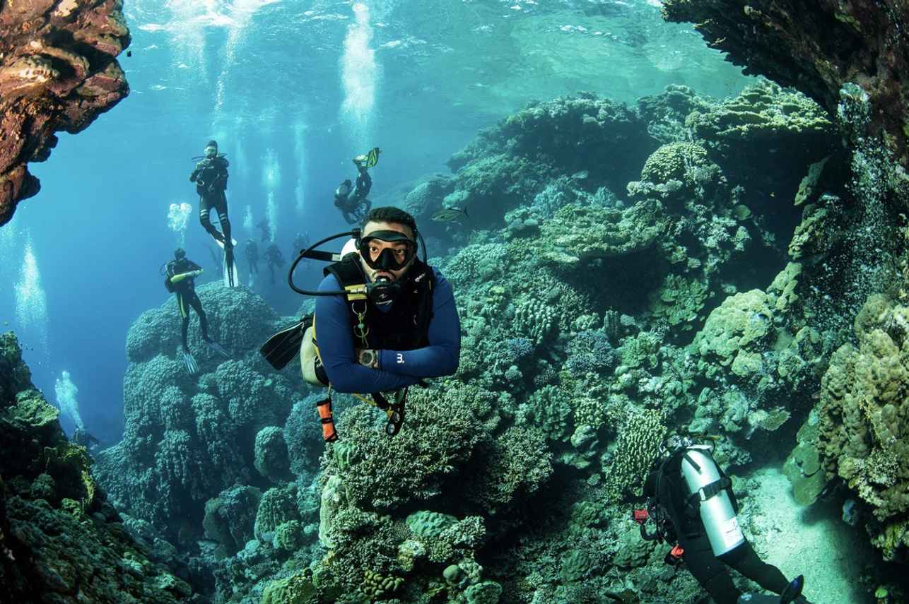 Diving