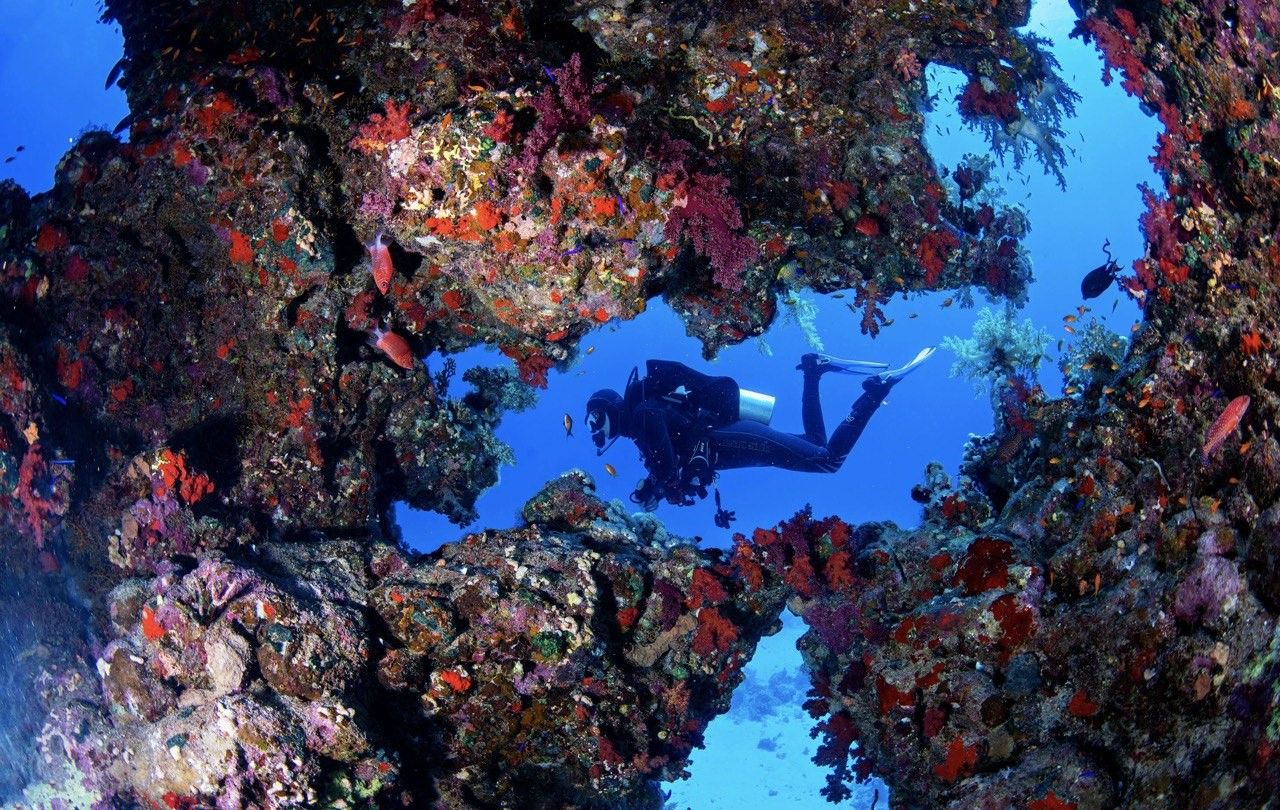Коралловый риф - JP Marine