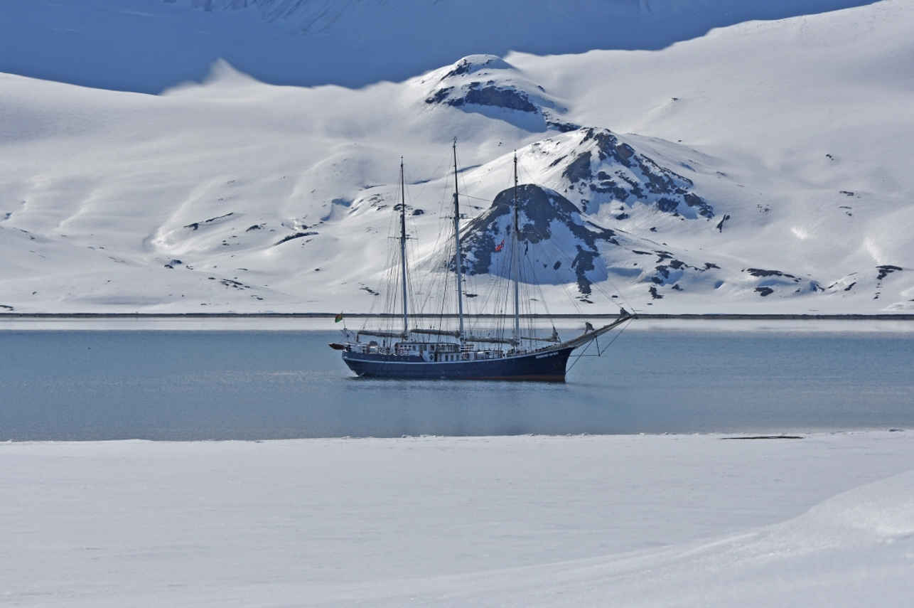 Rembrandt van Rijn Arctic
