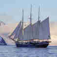 Rembrandt van Rijn Arctic