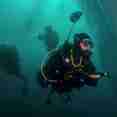 Polar Diving