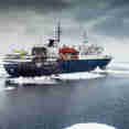 Ortelius
