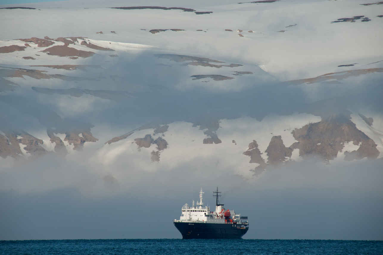 Ortelius