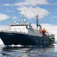 Ortelius