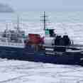 Ortelius Antarctica