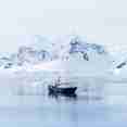 Ortelius Antarctica