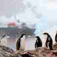 Ortelius Antarctica