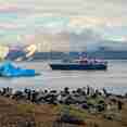 Ortelius Antarctica
