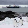 Ortelius Antarctica