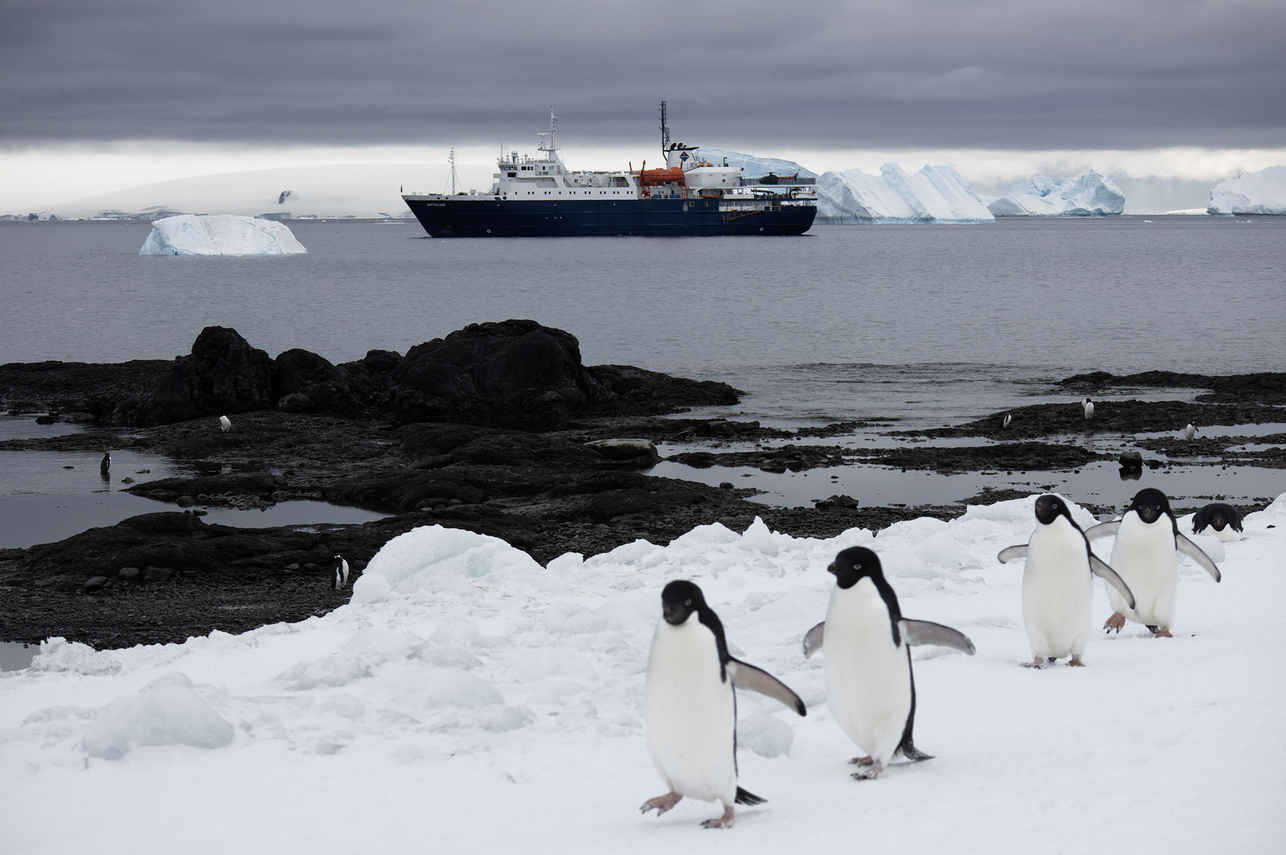 Ortelius Antarctica
