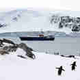 Ortelius Antarctica