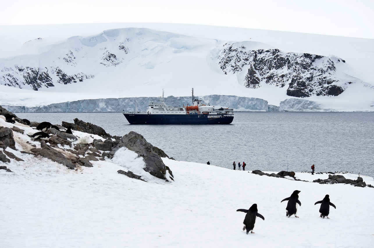 Ortelius Antarctica