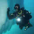 Polar Diving
