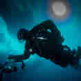 Polar Diving