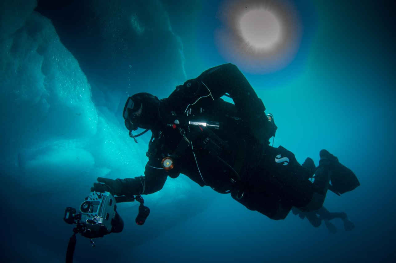 Polar Diving