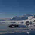 Plancius Arctic