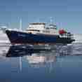 Plancius Arctic