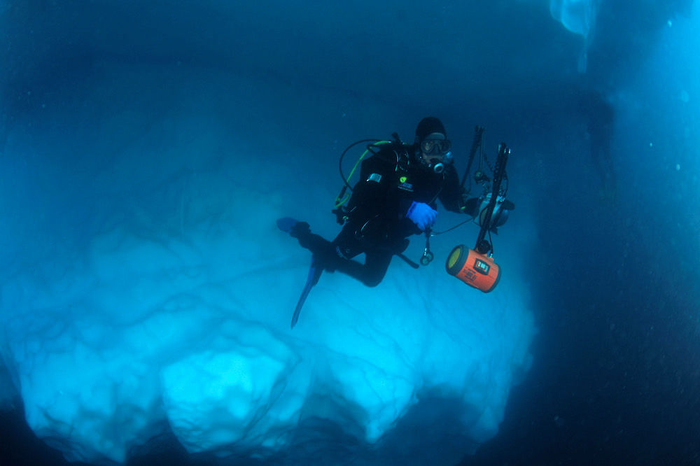 Diving in the Arctic