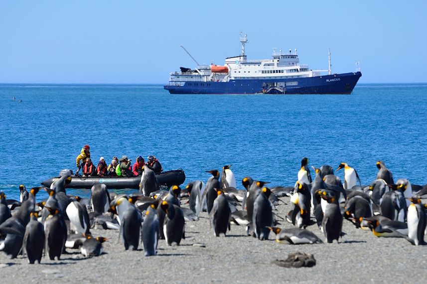 Plancius at St. Andrews Bay