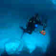 Polar Diving 