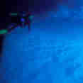 Polar Diving