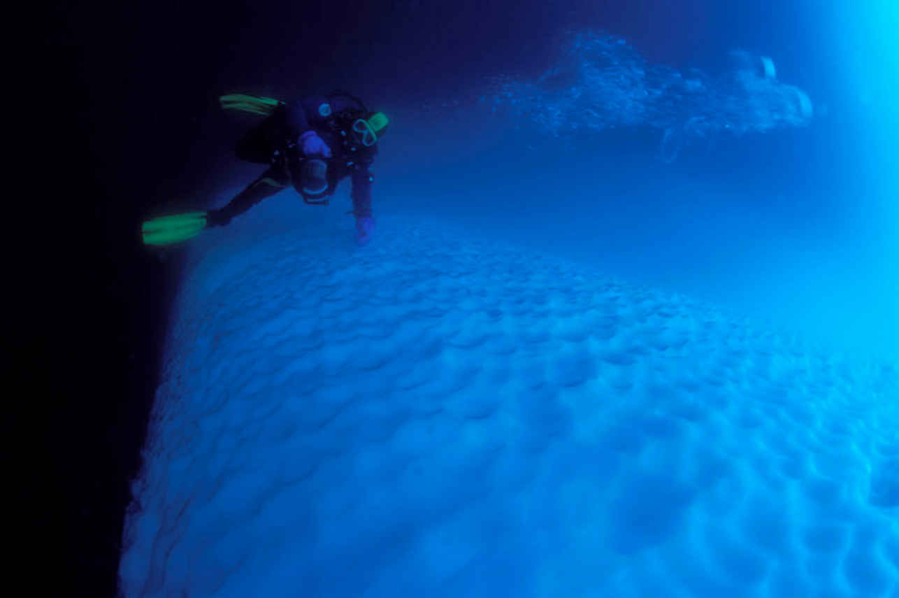 Polar Diving