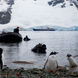 Polar Diving in Antarctica
