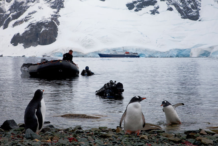 Polar Diving in Antarctica