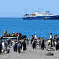 Plancius Antarctica