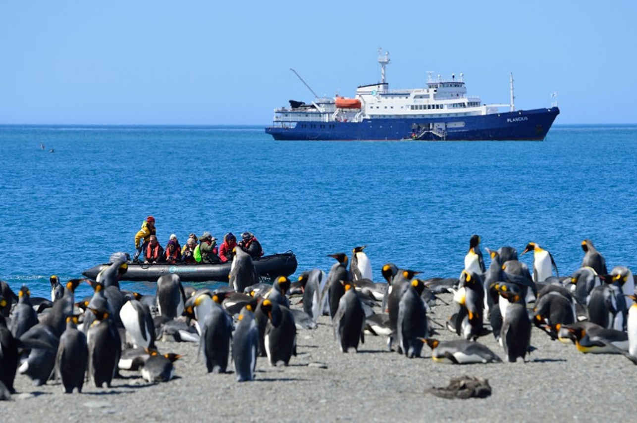 Plancius Antarctica
