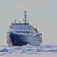 Plancius Antarctica