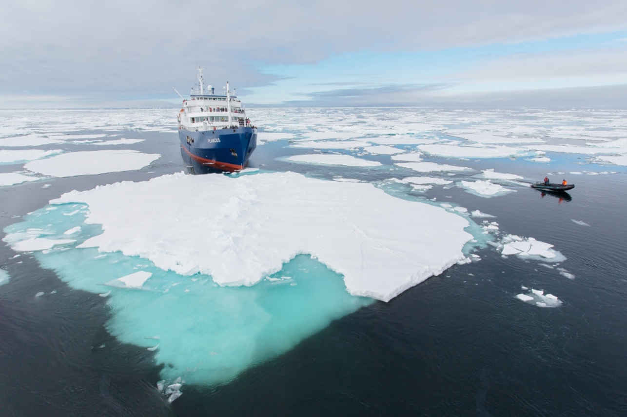 Plancius Antarctica