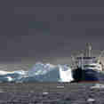 Plancius Antarctica