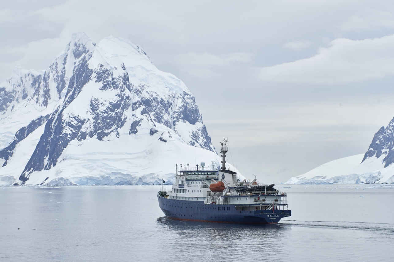 Plancius Antarctica