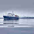 Plancius Antarctica