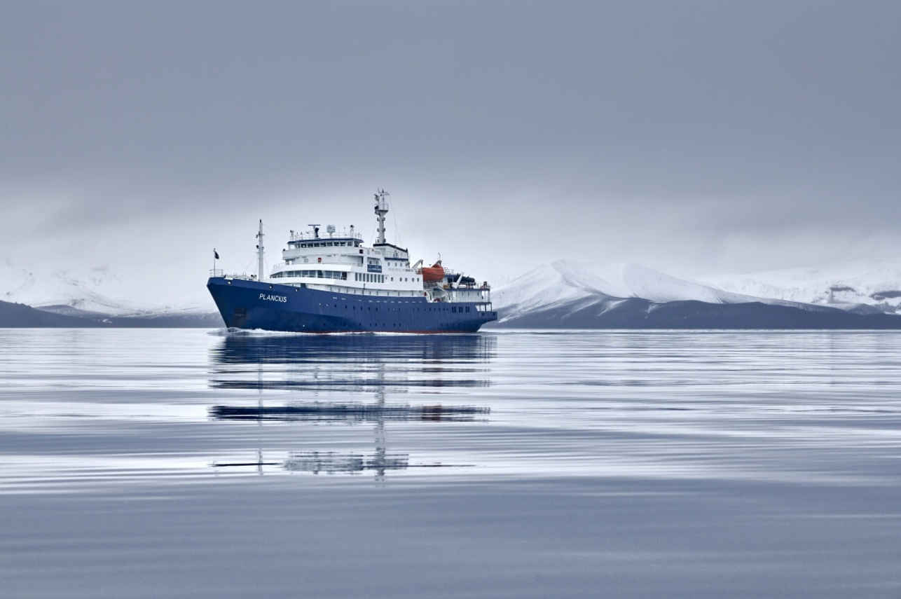 Plancius Antarctica