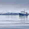 Plancius in Deception Island