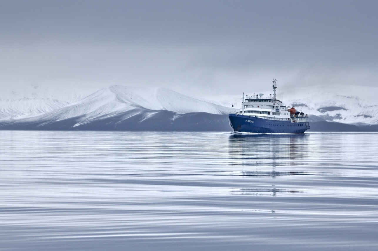 Plancius in Deception Island