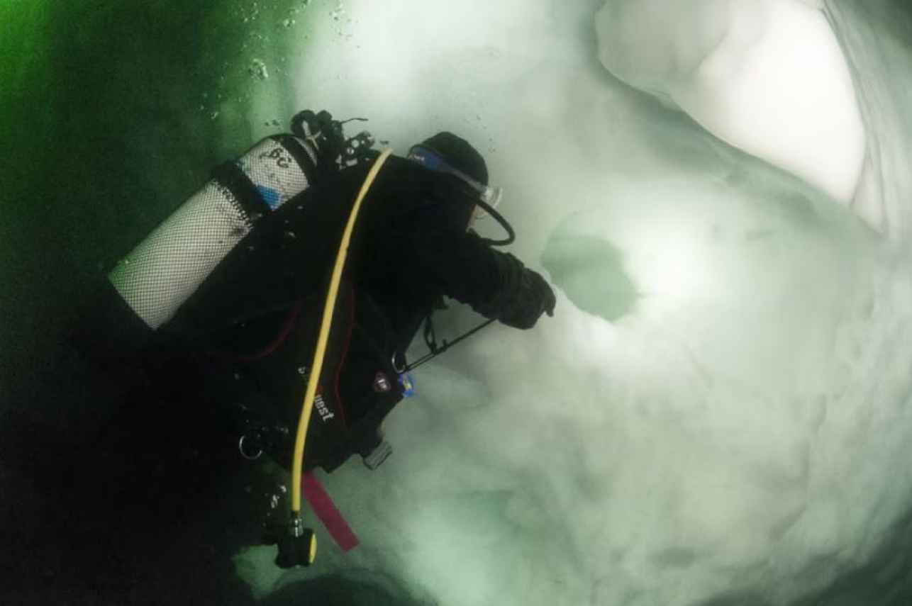 Polar Diving