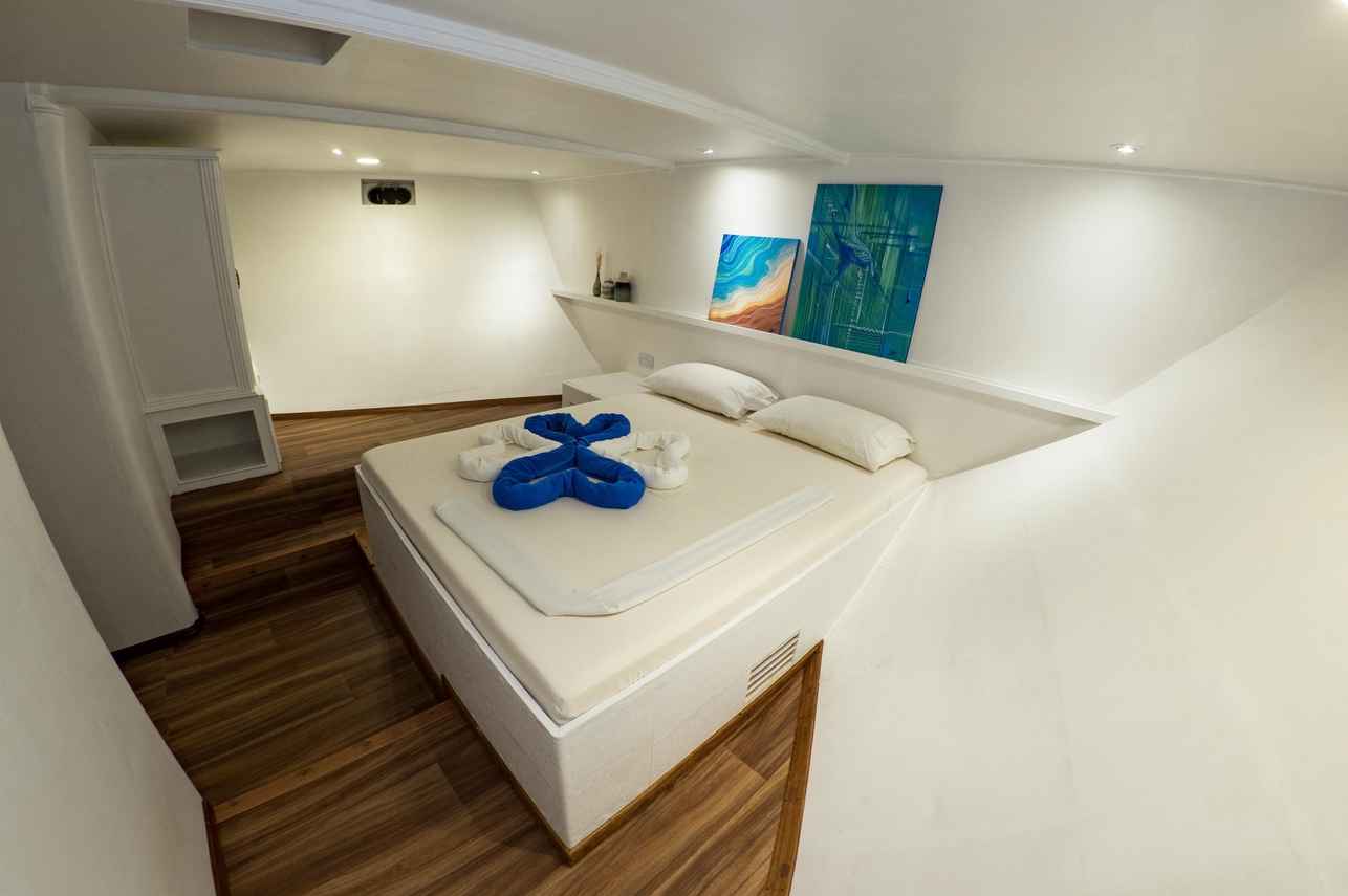 Cabine Deluxe - Eco Blue