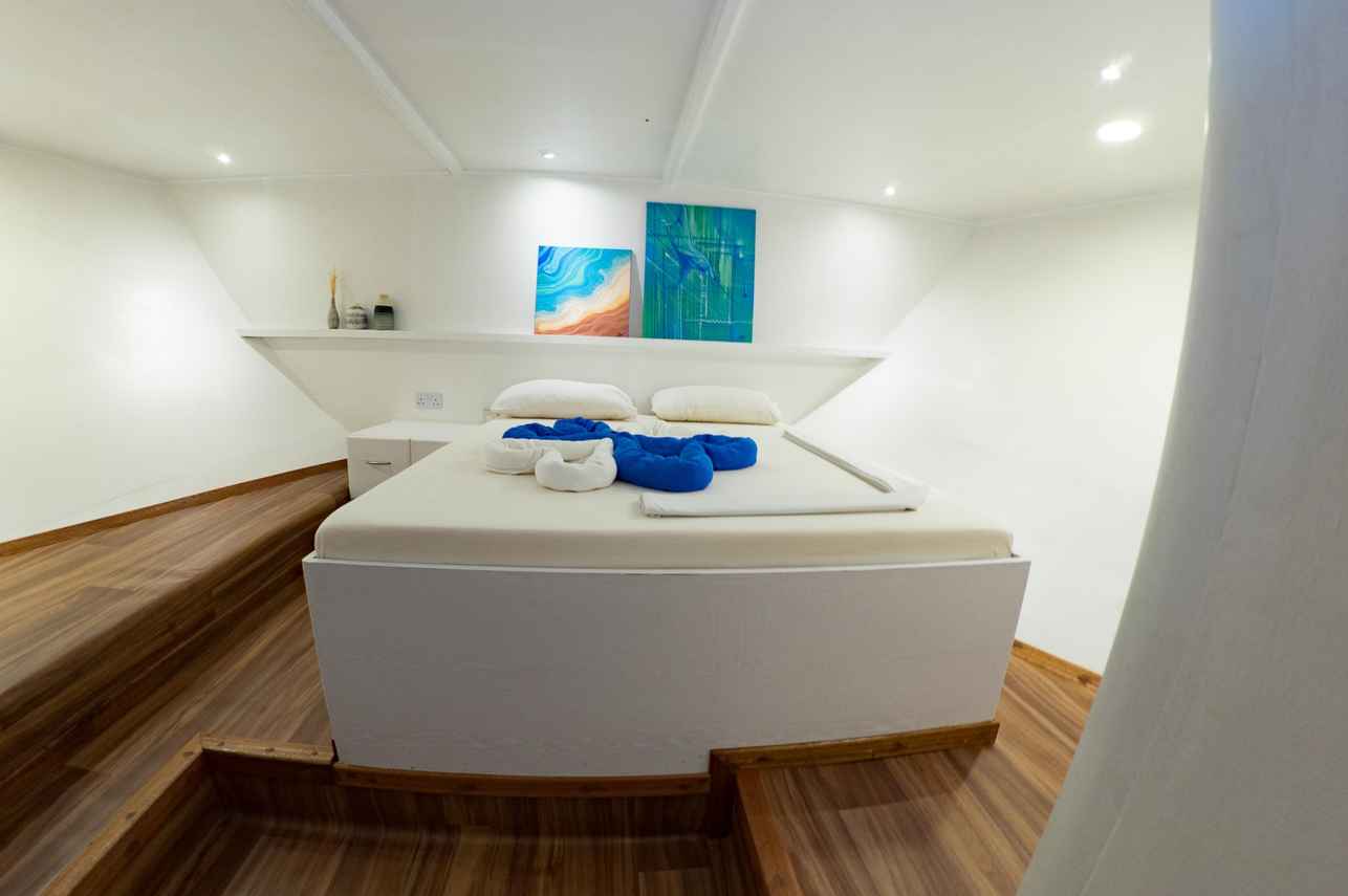 Cabine Deluxe - Eco Blue