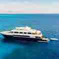 Red Sea Blue Force 3