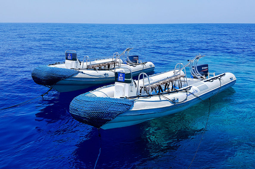 Red Sea Blue Force 3