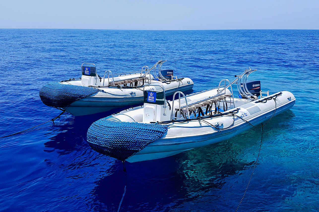 Red Sea Blue Force 3