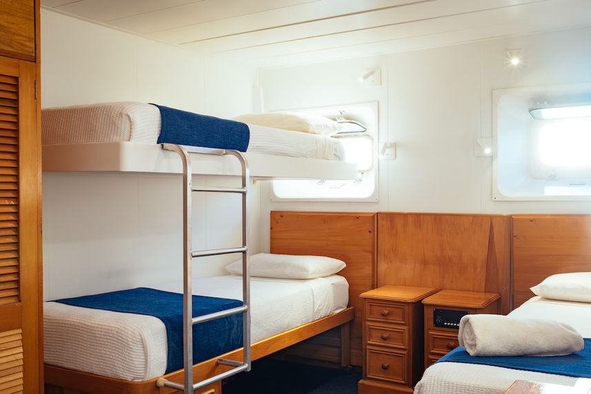 Bunk Cabin - Reef Endeavour