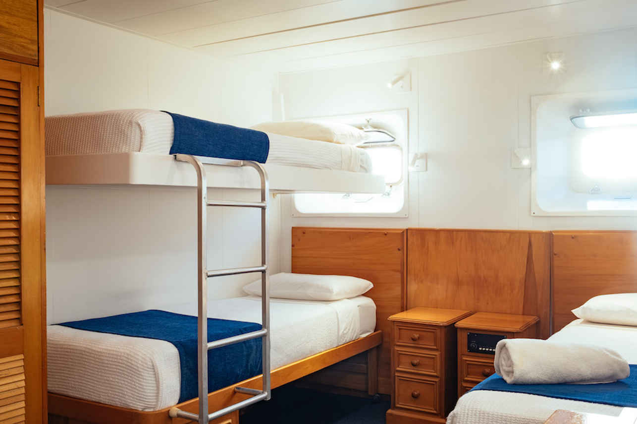 Bunk Cabin - Reef Endeavour