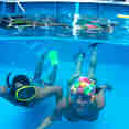 Snorkelling in the Pool - Reef Endeavour Fiji